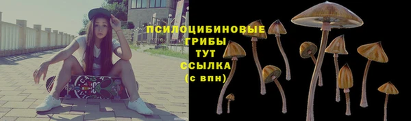 mix Аркадак